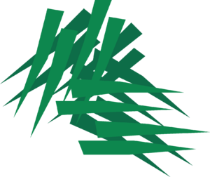 Snape grass detail.png