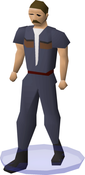 File:Clan wars cape (PVP Championship Blue 5) equipped.png