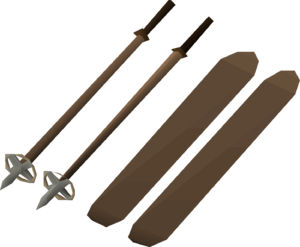 Skis detail.png