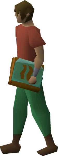 File:Tome of earth equipped male.png