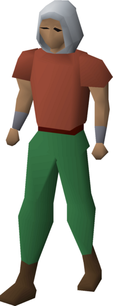 File:Adventurer's hood (t2) equipped male.png