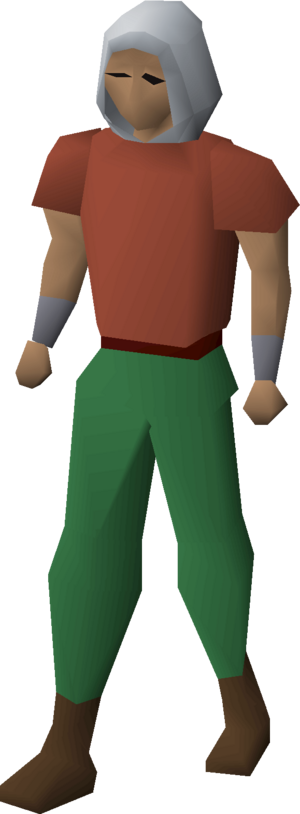 Adventurer's hood (t2) equipped male.png