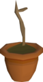 Thumbnail for version as of 17:16, 14 October 2024
