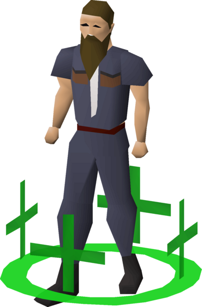 File:Healer icon (3) v1 equipped.png