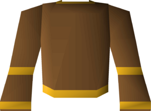 Monk's robe top (g) detail.png