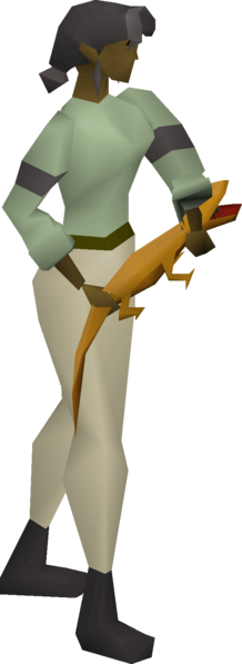 File:Orange salamander equipped female.png