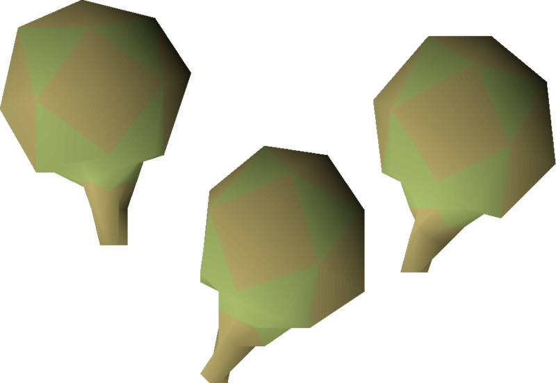 File:Potato cactus seed 3 detail.png