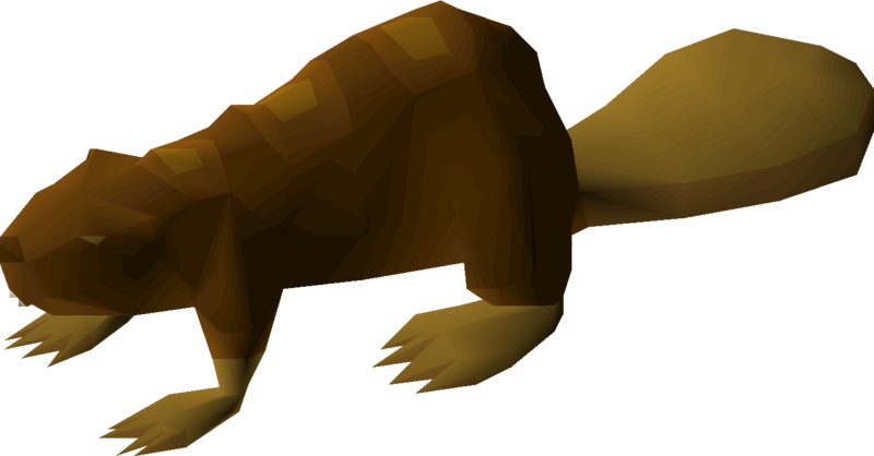 File:Beaver (maple) detail.png
