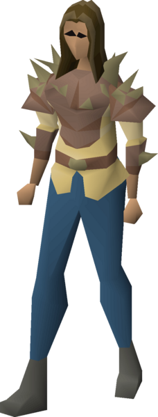 File:Graahk top equipped female.png