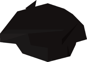 Black beret detail.png
