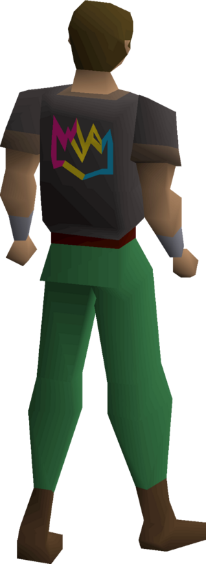 Colourful crown shirt (pansexual) equipped male.png