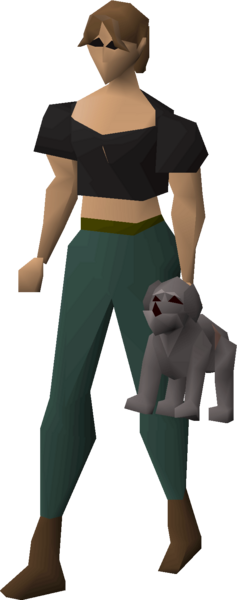 File:Stray dog plush equipped female.png
