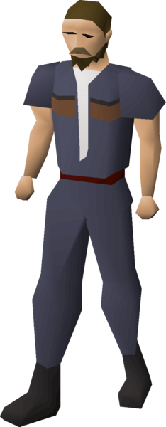 File:Clan wars cape (12) equipped.png